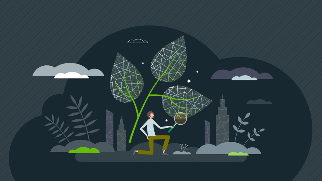 Biomimicry in Sports Equipment