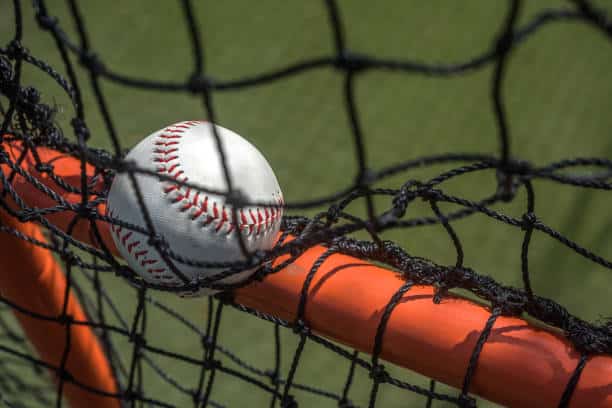 Baseball Catching Net