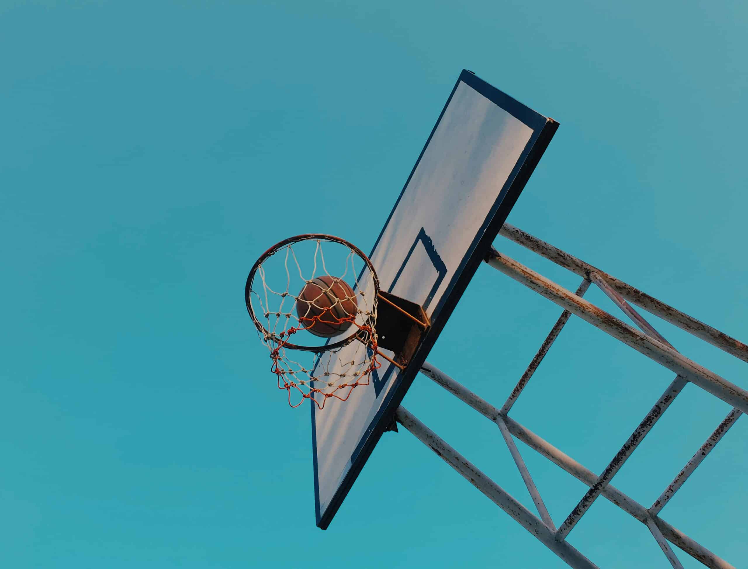 Basketball Backstop Net